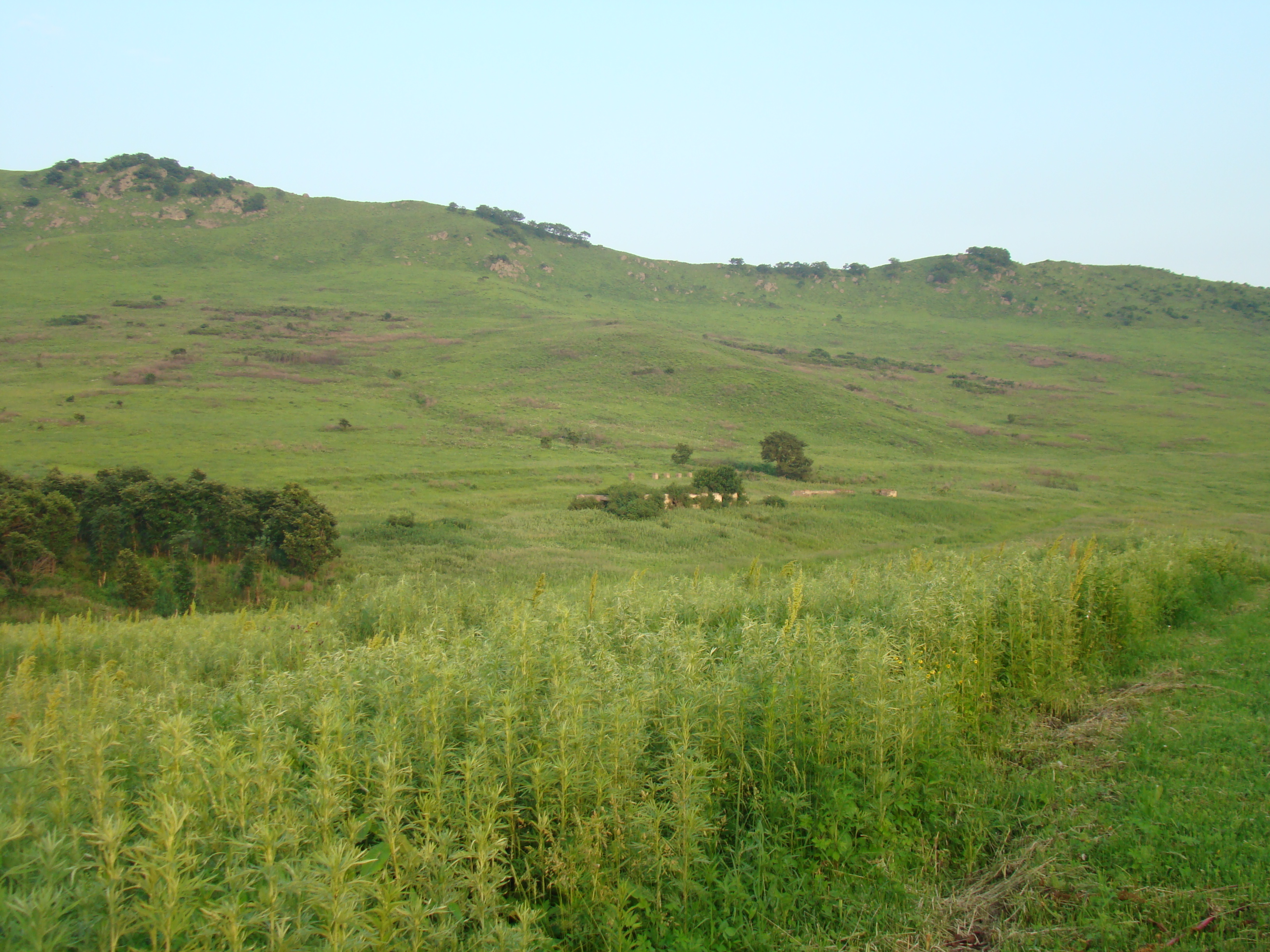 Bird lake area
